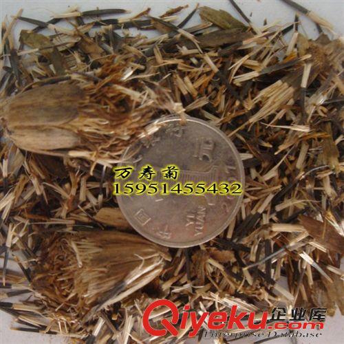 tj批發盆栽草花種子萬壽菊種子