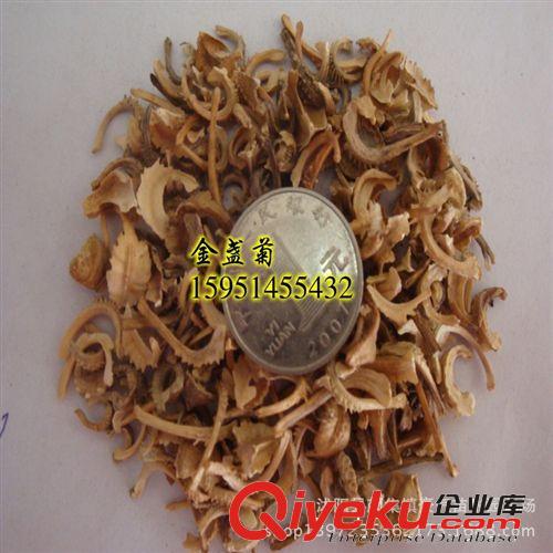 tj金盞菊種子 種子批發 草花種子 花卉種子 金盞菊草籽