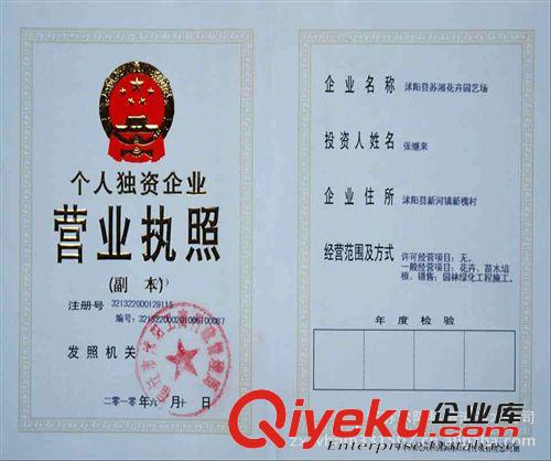 常年供應(yīng)花卉種子--茶樹種子原始圖片3