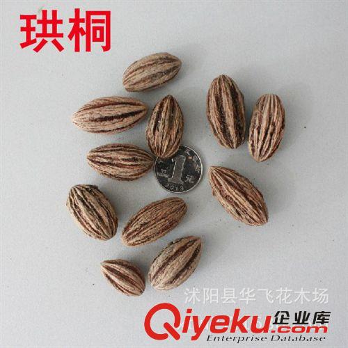 香樟種子 香樟樹種子 林木種子 當年新采樹種子批發原始圖片2
