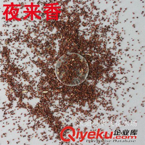 薄荷種子 美國薄荷種子 貓薄荷種子 盆栽種子批發原始圖片3