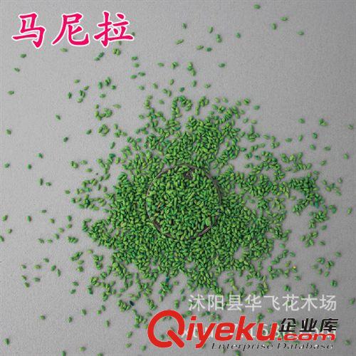 狗牙根草籽 狗牙根草種 草坪種子 護坡草籽 進口種子批發