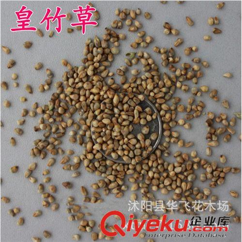 佛甲草 佛甲草種子 屋頂綠化 草坪草種 垂直綠化 植物種子批發(fā)