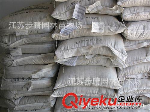 大量批發(fā)脫殼狗牙根種子 早熟禾種子  狗牙根護坡種子沭陽苗原始圖片3