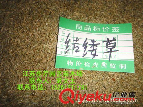 供應中華結尾草護坡草坪  狗牙根  高羊茅草坪種子批發(fā)