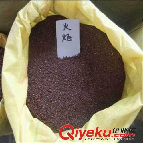 大量供應(yīng)優(yōu)質(zhì)苗木種子 火炬樹 火炬種子 火炬種子價(jià)格 播種技術(shù)原始圖片2