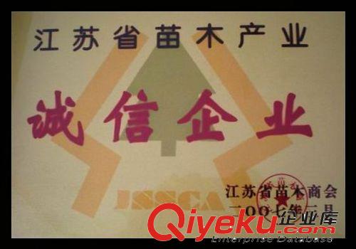 [{mfl}!]狗牙根草坪凈種子護坡草坪狗牙根草籽 狗牙根種子價格原始圖片3