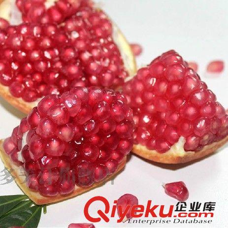 盆栽果樹苗木石榴樹苗大果型石榴苗紅皮黑籽軟籽原始圖片3