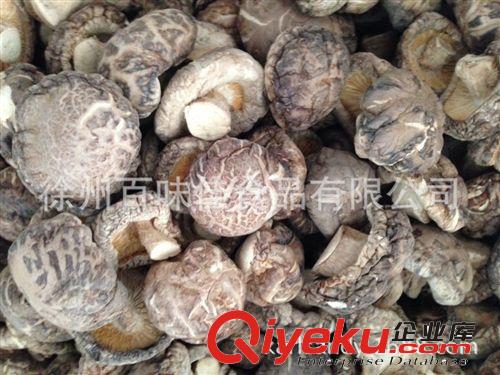 金多祿茶花菇、光面菇、香菇 優(yōu)質(zhì)食用菌Mushrooms