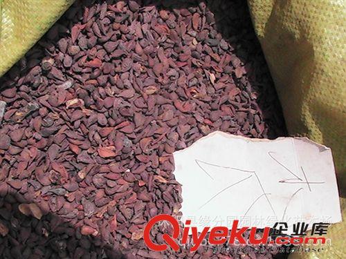 供應(yīng)多年生叢生性草本植物紅三葉種子