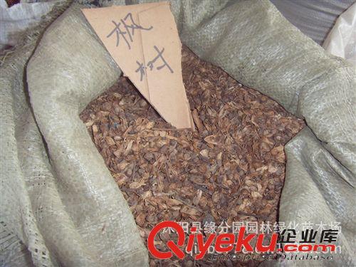 供應優質木瓜種子 種苗