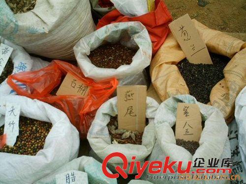 供應(yīng)優(yōu)質(zhì)青楓種子 批發(fā)紅葉桃原始圖片2
