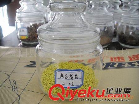 供應(yīng)優(yōu)質(zhì)涼子木種子 涼子木種苗原始圖片3
