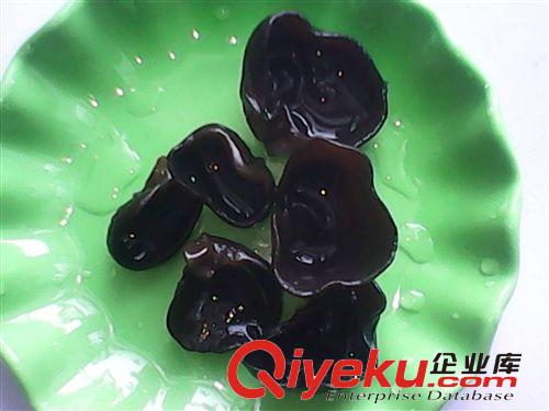 東北特產(chǎn) 秋木耳 小厚鼠耳 黑木耳  彩袋禮盒 規(guī)格1.2