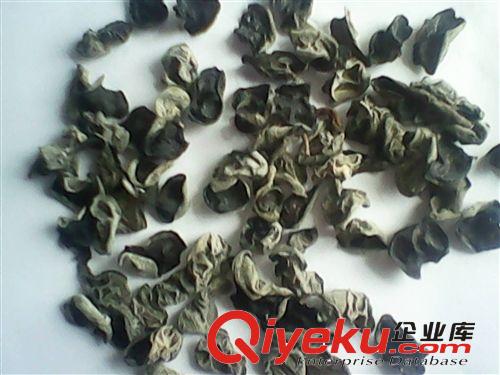 東北特產(chǎn) 農(nóng)家自產(chǎn) 秋木耳 單片秋耳 小碗超厚黑木耳   規(guī)格1.5原始圖片3