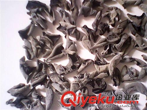 東北特產(chǎn) 秋木耳 小厚鼠耳 黑木耳  彩袋禮盒 規(guī)格1.2原始圖片2