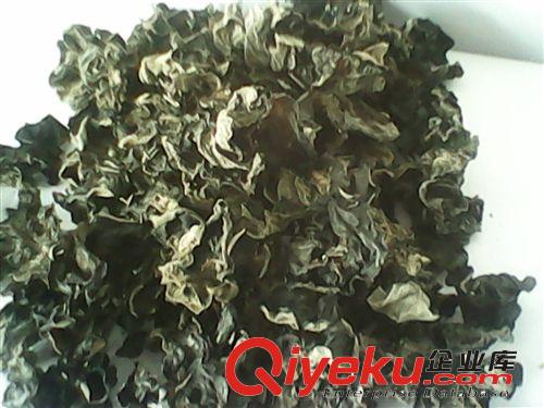東北特產(chǎn) 農(nóng)家自產(chǎn)黑木耳 小朵春耳 500克 規(guī)格3.0原始圖片2