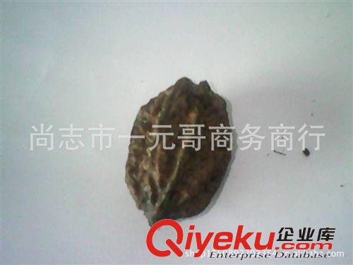 東北特產(chǎn)野生山核桃 生核桃  想要文玩核桃的請到店內(nèi)首頁查看原始圖片2