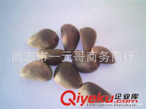 批發(fā)野生東北紅松子  松籽 產(chǎn)地直銷原始圖片2