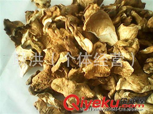 東北特產野生榛蘑菇 野生食用菌