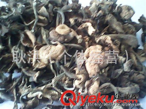 東北特產野生榛蘑菇 野生食用菌