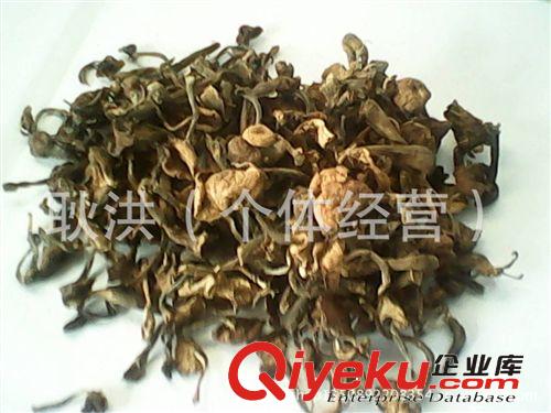 東北特產野生榛蘑菇 野生食用菌原始圖片2