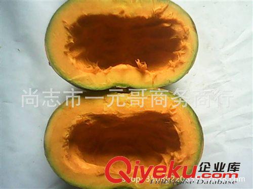 農家自種東北面瓜種子  窩瓜 南瓜 超面超甜原始圖片2