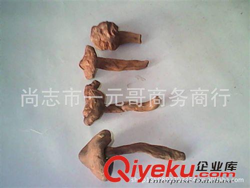2013年東北優質野生松傘蘑（紅蘑）批發 直銷 純干貨原始圖片2