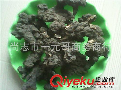 預售紅樹莓果樹苗 覆盆子樹苗 馬林苗   當年結果 包郵快遞