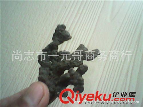 暫停銷(xiāo)售 秋天再賣(mài) 批發(fā)東北特產(chǎn)野生豬苓 豬屎苓 中藥材無(wú)硫熏原始圖片2