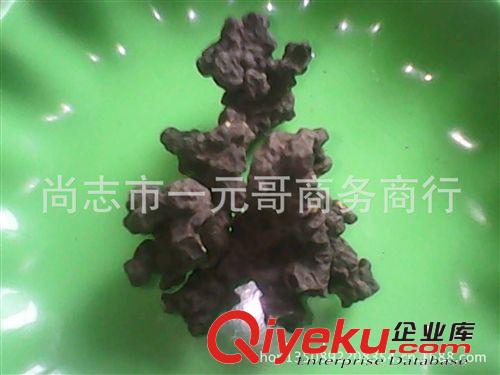 暫停銷(xiāo)售 秋天再賣(mài) 批發(fā)東北特產(chǎn)野生豬苓 豬屎苓 中藥材無(wú)硫熏原始圖片3