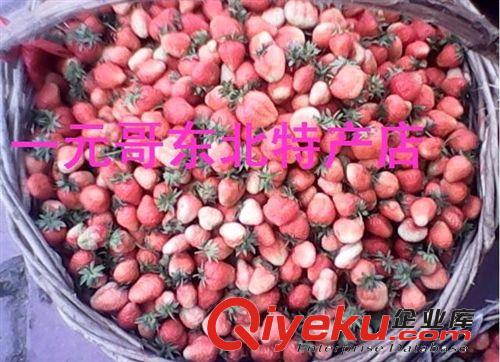 農(nóng)家自產(chǎn) 黃姑娘果種子 黃菇娘洋姑娘兒種子 甜菇娘種子 黃燈籠果