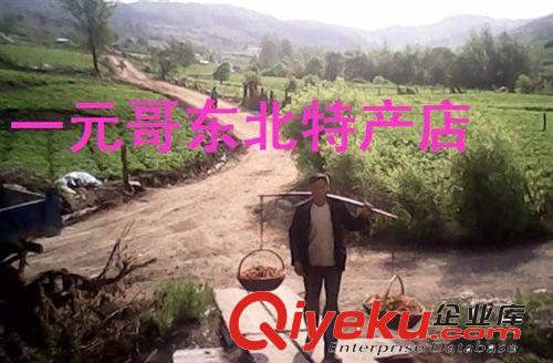 電話自取 限哈爾濱 大地新鮮草莓  露天大地種植  現(xiàn)摘當(dāng)天發(fā)貨原始圖片3