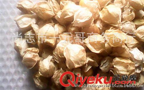 農(nóng)家自產(chǎn) 黃姑娘果種子 黃菇娘洋姑娘兒種子 甜菇娘種子 黃燈籠果原始圖片2