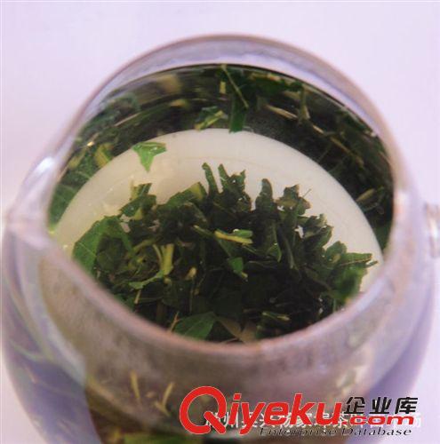 秋桑葉茶   廠家直銷    一件代發原始圖片2