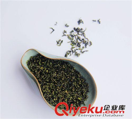 茶蒲子雨前綠茶50克  25克 自產自銷