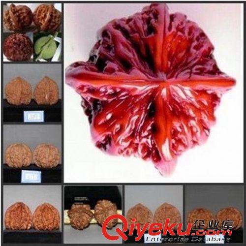 果樹(shù)苗木 盆栽地栽無(wú)花果苗 無(wú)花果樹(shù)苗 無(wú)花果苗 當(dāng)年結(jié)果