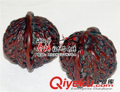文玩核桃苗 獅子頭 麻核桃嫁接樹苗 當年結果 包郵 包成活 文玩原始圖片3