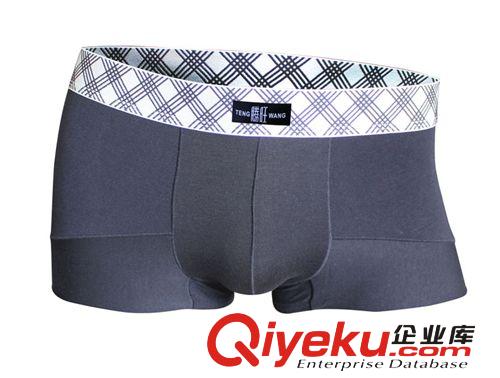 騰旺內(nèi)褲7831
