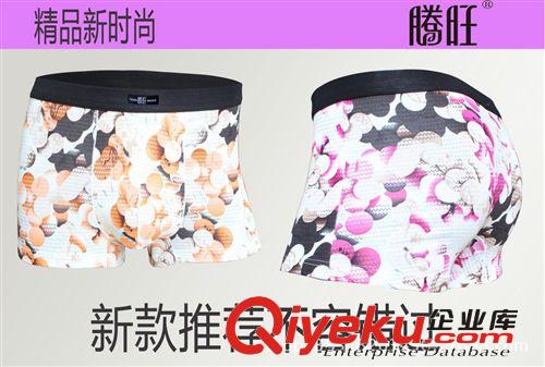 騰旺內(nèi)褲7839