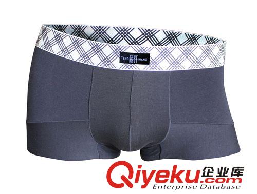 騰旺盒.內褲7831兩條.