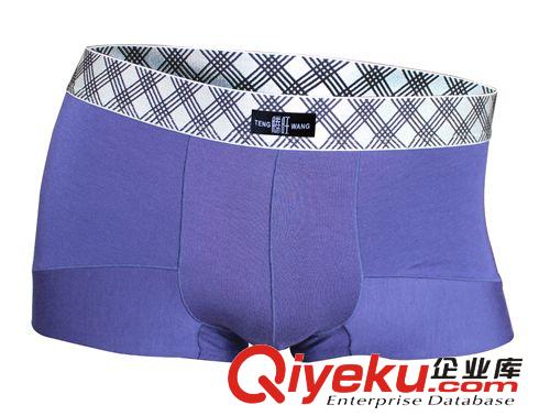 騰旺盒.內褲7831兩條.