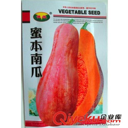 蔬菜瓜果種子 甜蜜南瓜 紅板栗南瓜種子 金紅 甘甜 8粒/包原始圖片3