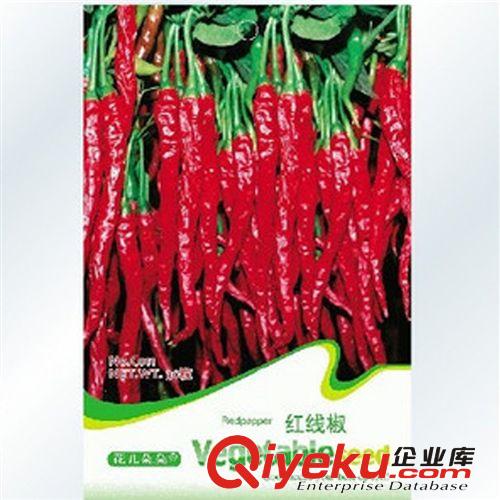 蔬菜瓜果種子 甜蜜南瓜 紅板栗南瓜種子 金紅 甘甜 8粒/包