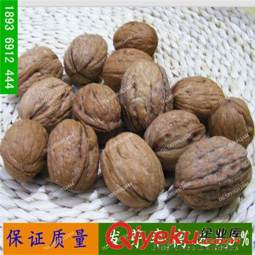 供應(yīng)柿樹種子 優(yōu)質(zhì)柿樹種子 當(dāng)年新采柿樹種子 果樹種子