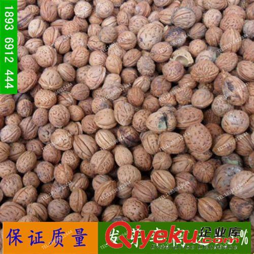 葫蘆種子小迷你寶葫蘆大量現貨批發供應果樹苗種籽