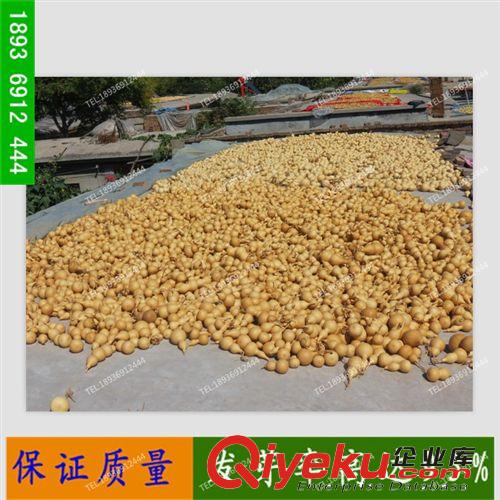 葫蘆種子小迷你寶葫蘆大量現貨批發供應果樹苗種籽