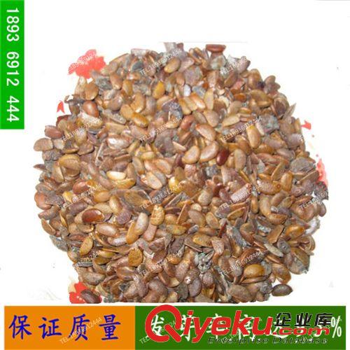 毛桃種子毛桃核山毛桃種籽大量現(xiàn)貨批發(fā)供應(yīng)果樹(shù)苗種子