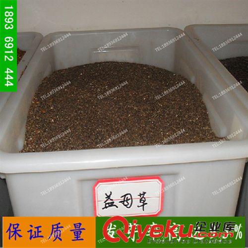 五味菜種子野菜種植野菜種子大葉荊芥種子藥食同源種子批發(fā)