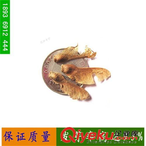 出售綠植庭院 花木種子-青楓種子 綠化種子 小葉青楓種子批發(fā)